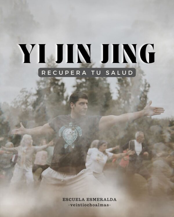 Curso Online Yi Jin Jing